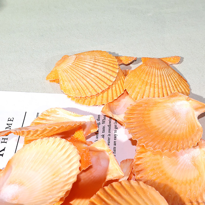 Marine Fish Tank - Najlepsza żółta muszla muszelki akwarium krajobraz