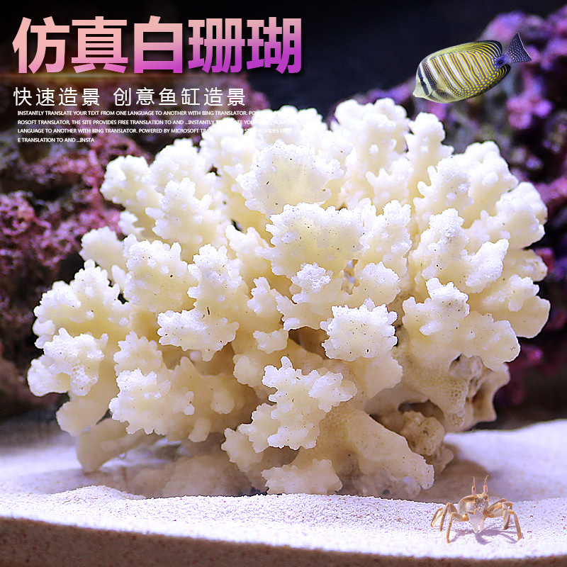 Marine Aquarium Epoxy - Mały Zbiornik Koralowy Zestaw do Aranżacji