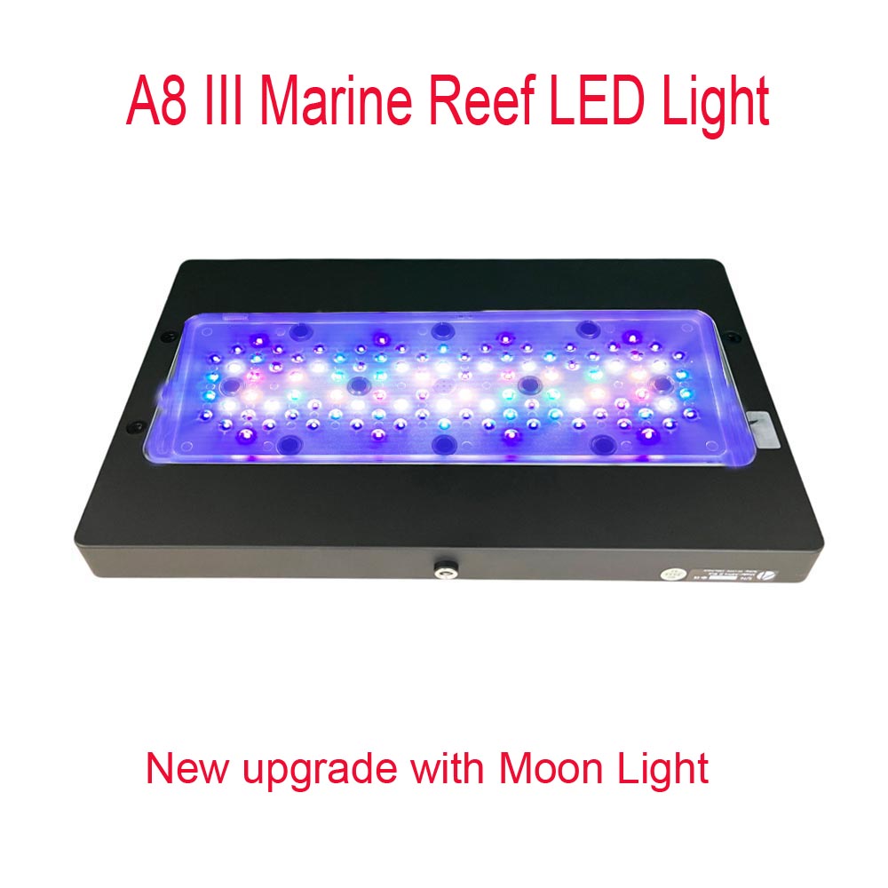 Marine Coral - A8 III Moon Light - Mocne