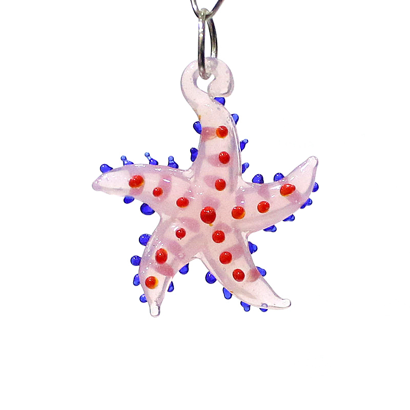 Marine Aquarium - Urocza rozgwiazda ze zwierząt morskich miniaturowa