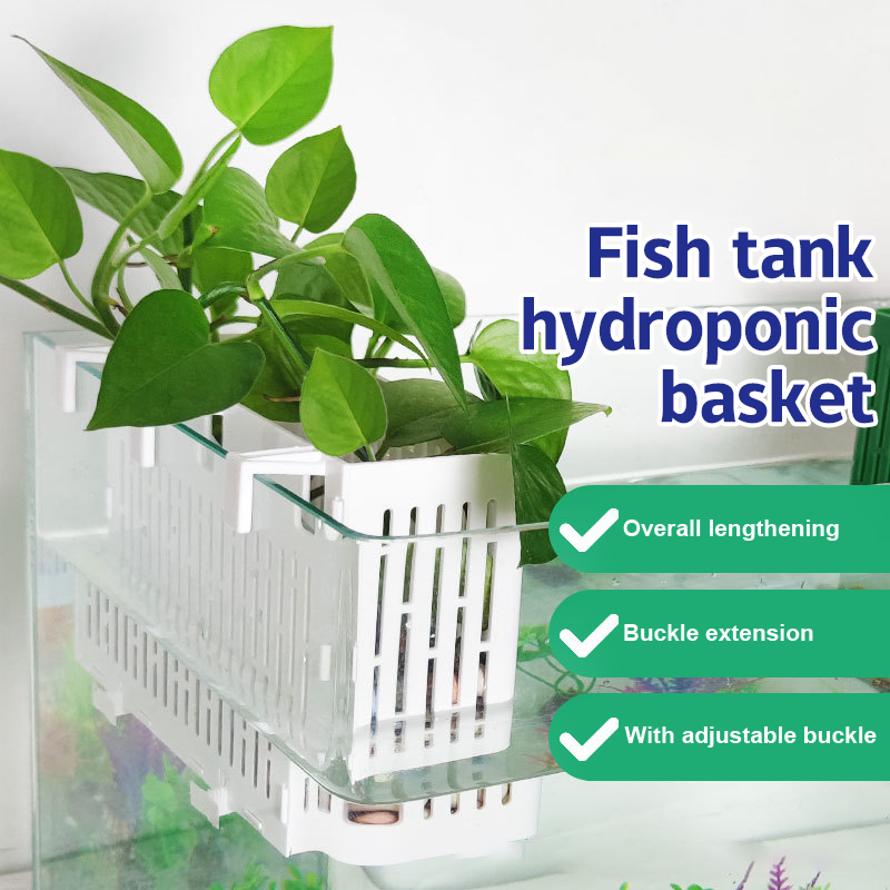 Marine Aquarium - 【F】Wiszący pojemnik do akwarium, uchwyt na