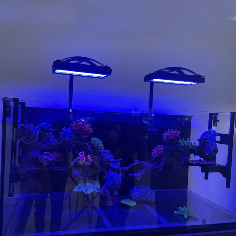 Sterowanie aplikacją Full Spec – Reef Lighting recenzja i cena