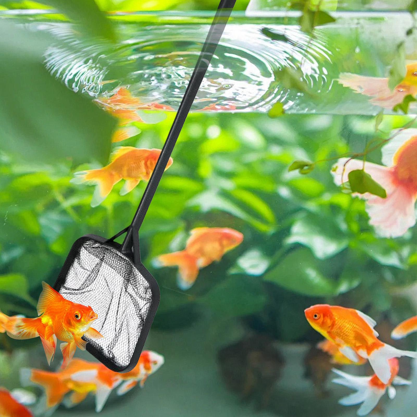Siatki do czyszczenia basenów, – Marine Aquarium recenzja i cena