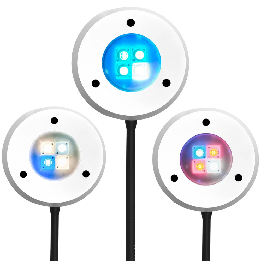 Lampa LED do akwarium Spectra  – Marine Coral recenzja i cena