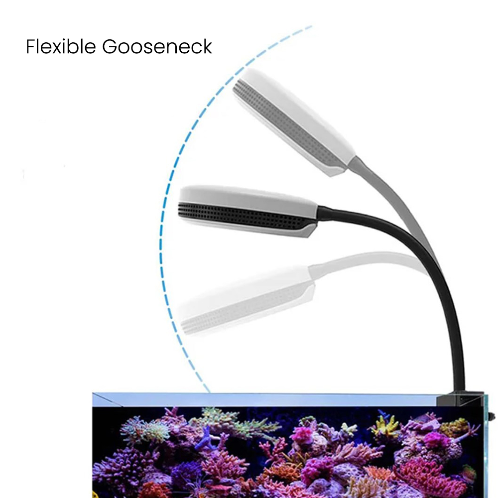 Lampa LED do akwarium Spectra  – Marine Coral recenzja i cena