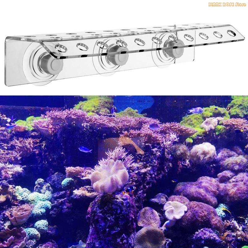 K1AE Akrylowy stojak na odłamk – Reef Aquarium recenzja i cena