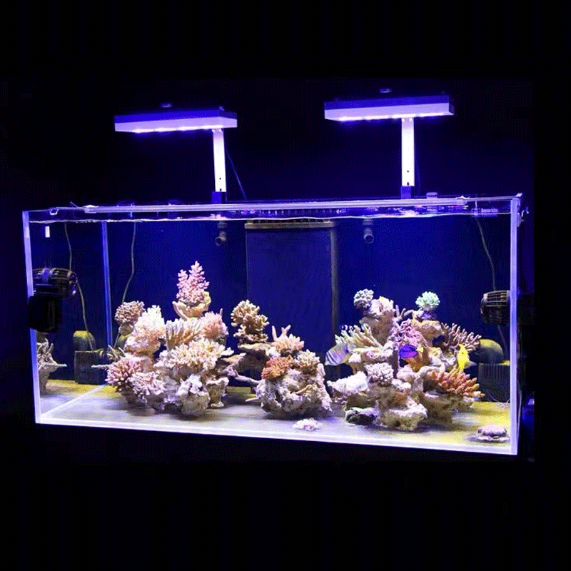 Aqua Illumination AI Hydra 32H – Marine Coral recenzja i cena
