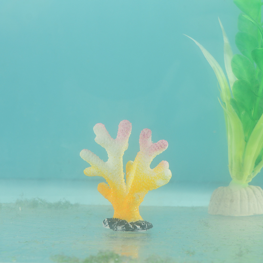 Sztuczny koral akwarium ozdoby – Reef Aquarium recenzja i cena