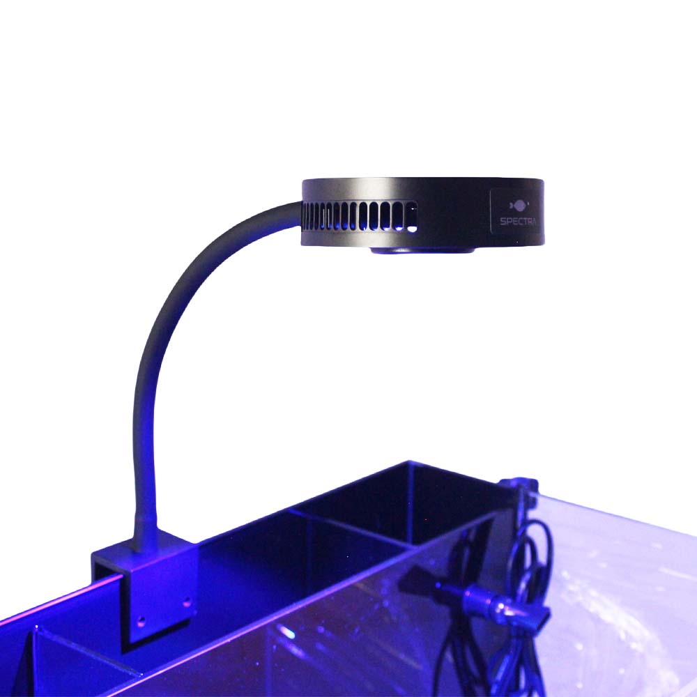Aquaknight V2 Marine Reef Ligh – Reef Lighting recenzja i cena