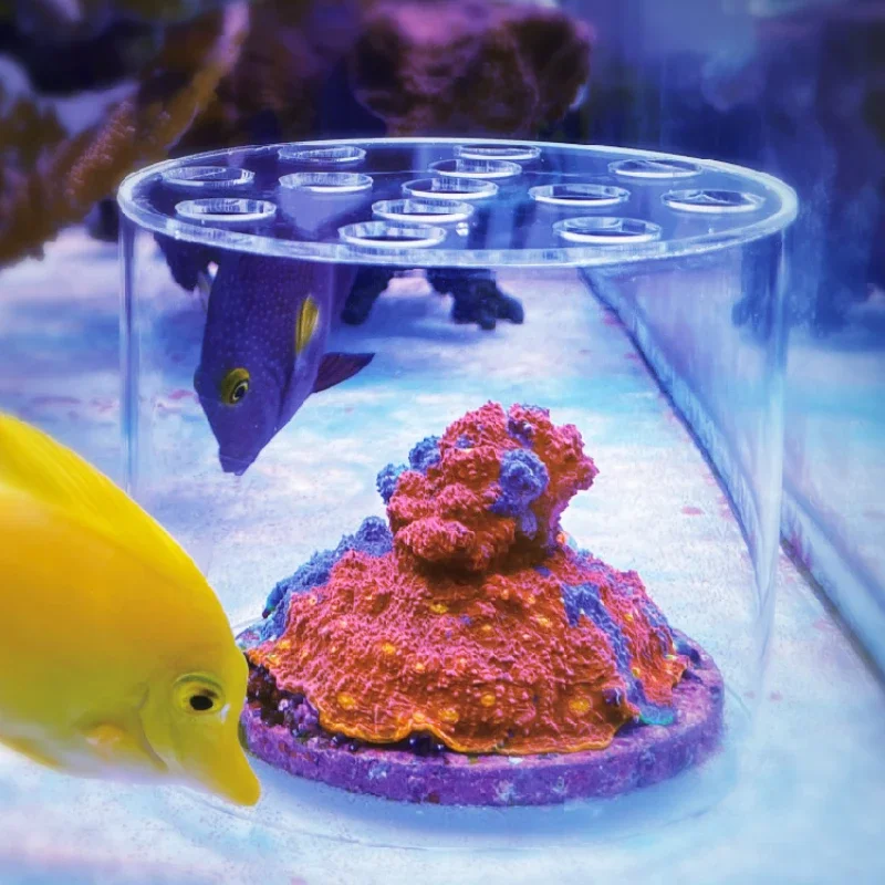 Vastocean Akrylowa Osłona do K – Reef Aquarium recenzja i cena