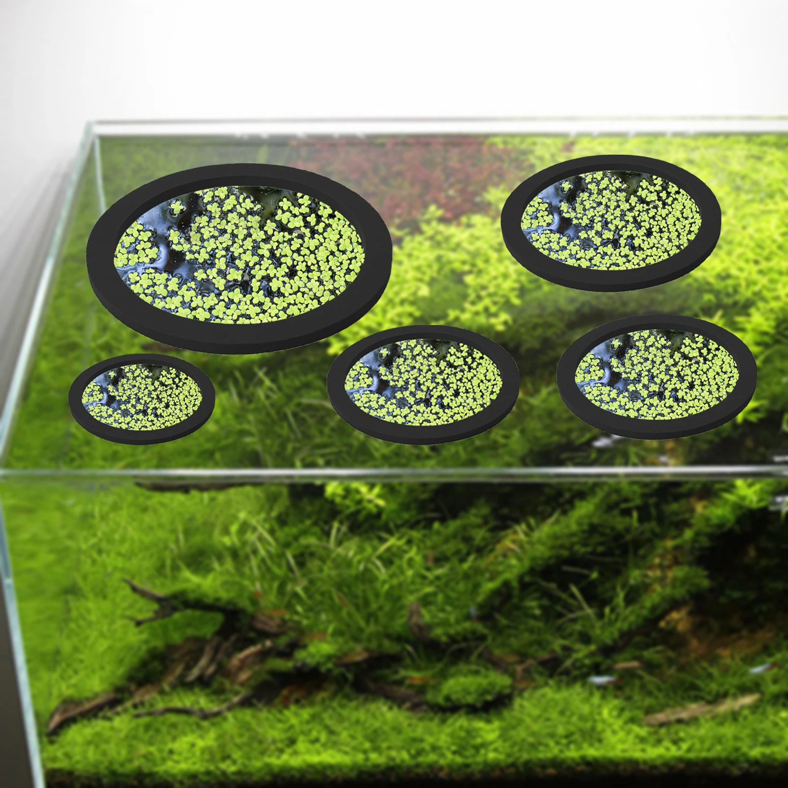 5Pcs EVA Pierścień do karmieni – Ocean Aquarium recenzja i cena