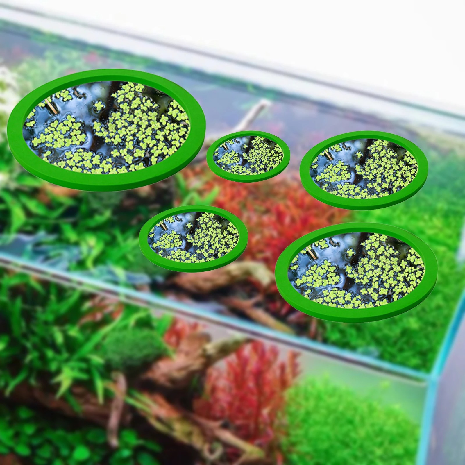 5Pcs EVA Pierścień do karmieni – Ocean Aquarium recenzja i cena