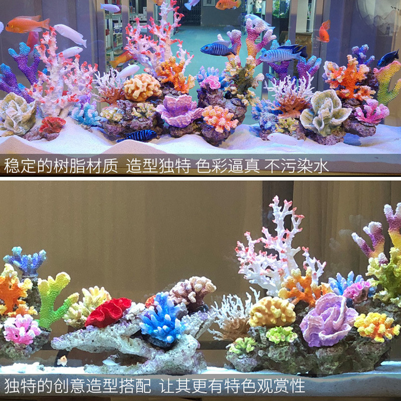Mały Zbiornik Koralowy Zestaw  – Marine Aquarium Epoxy recenzja i cena