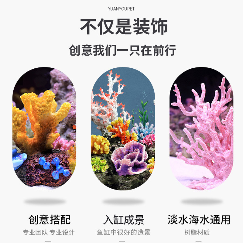 Mały Zbiornik Koralowy Zestaw  – Marine Aquarium Epoxy recenzja i cena