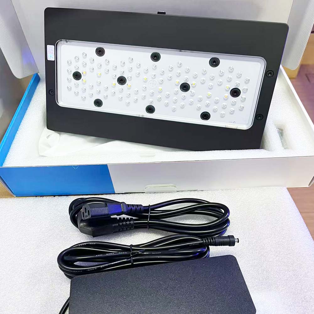 A8 III Moon Light - Mocne oświ – Marine Coral recenzja i cena