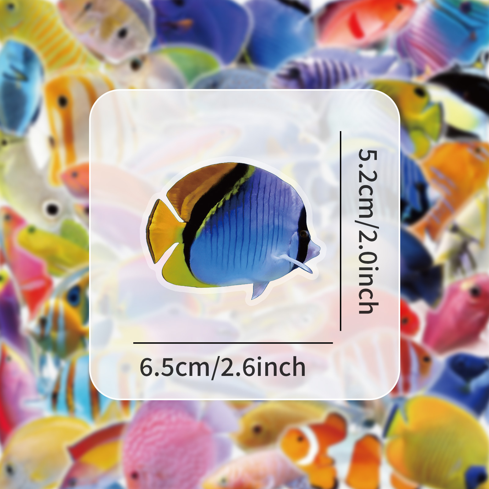 50-100 szt. Przezroczyste nakl – Marine Coral recenzja i cena