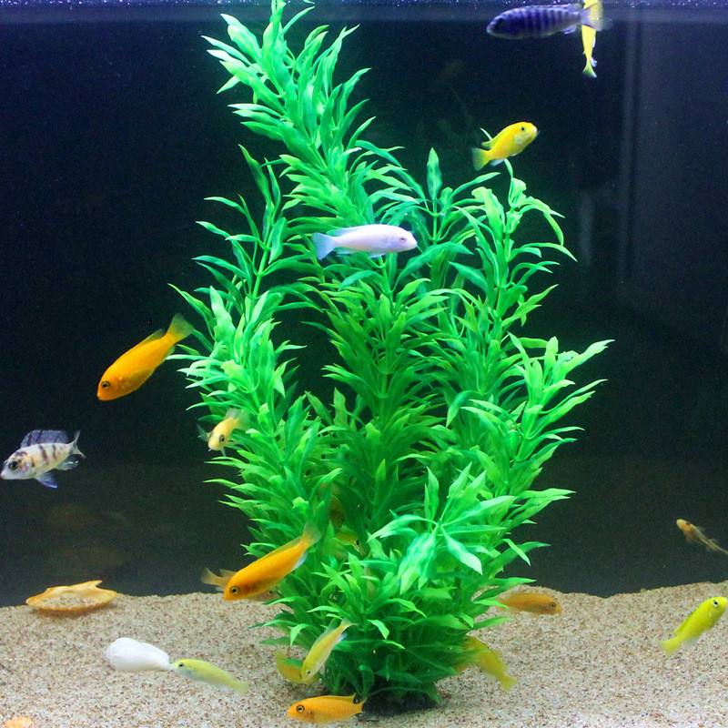 50CM sztuczne akwarium rzadkie – Ocean Aquarium recenzja i cena