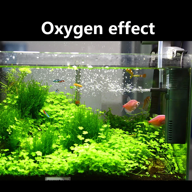 SUNSUN mini nano 111B 311B 611 – Reef Tank Filter recenzja i cena